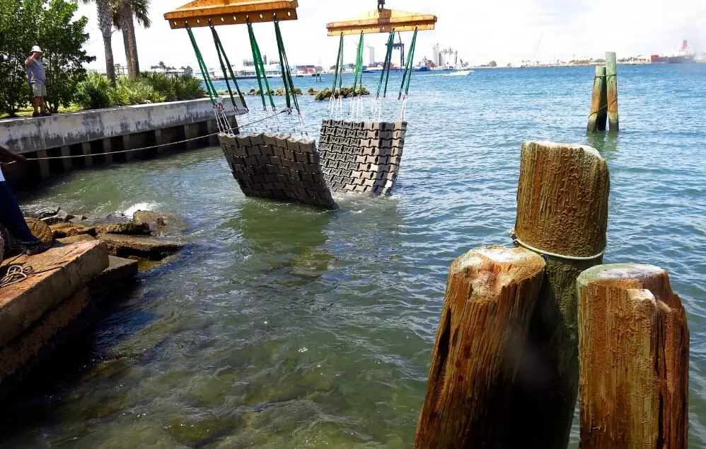 Florida_Goal-1-aspect-ratio-590-375