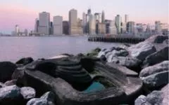 Brooklyn Bridge Park