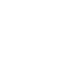 SMART - white (small)