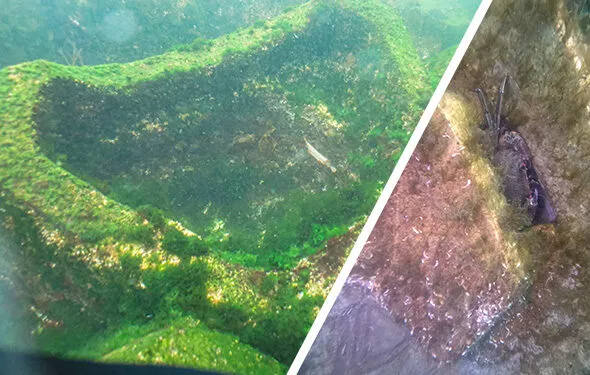 Living-Ports-thumb-aspect-ratio-590-375