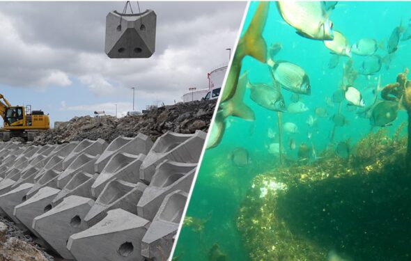 Econcrete Before After Coastalock Biodiversity Europe