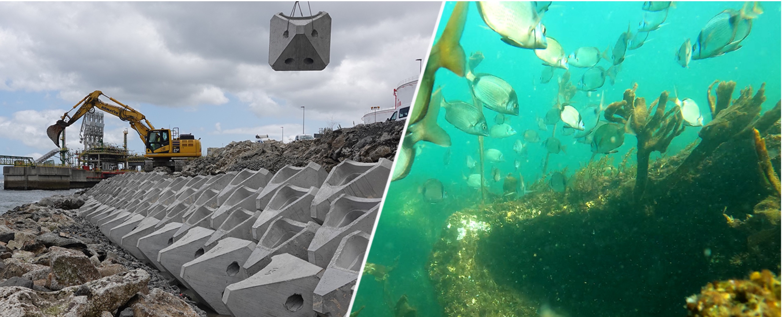 Econcrete Before After Coastalock Biodiversity Europe