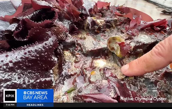 sliders_0000_Jessica-de-Jesus-copy-aspect-ratio-590-375