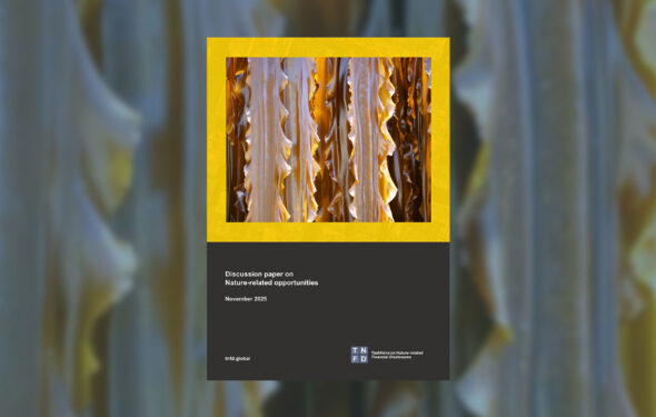 desktop cover imagetnfd2