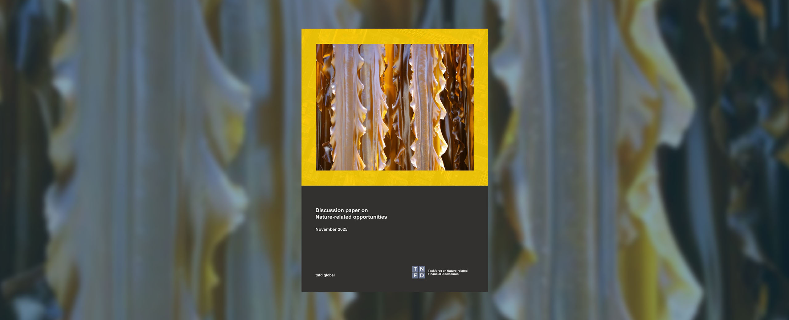 desktop cover imagetnfd2