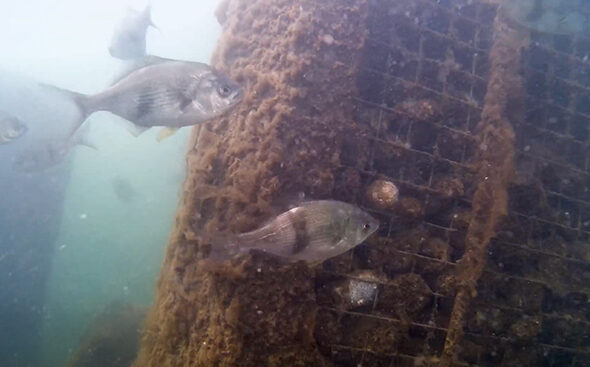 port-of-vancouver6-aspect-ratio-595-370